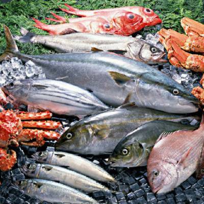 南非冷凍蝦仁進口報關指南 水產(chǎn)品進口流程解析